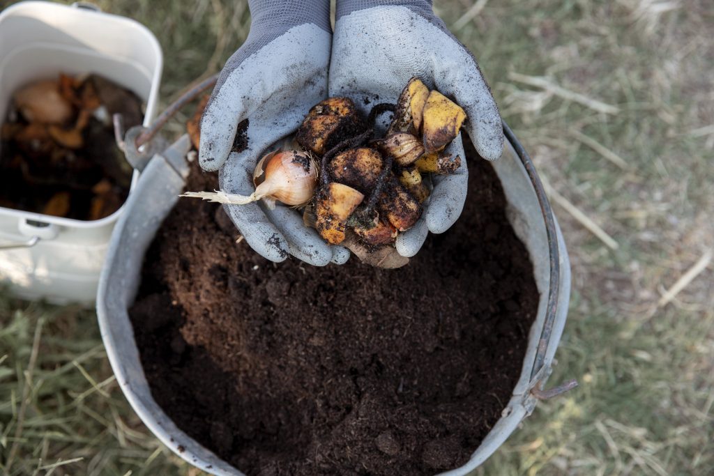 compost.