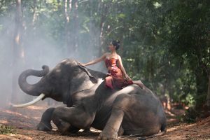 Asian woman sitting elegantly on top of an elephant 